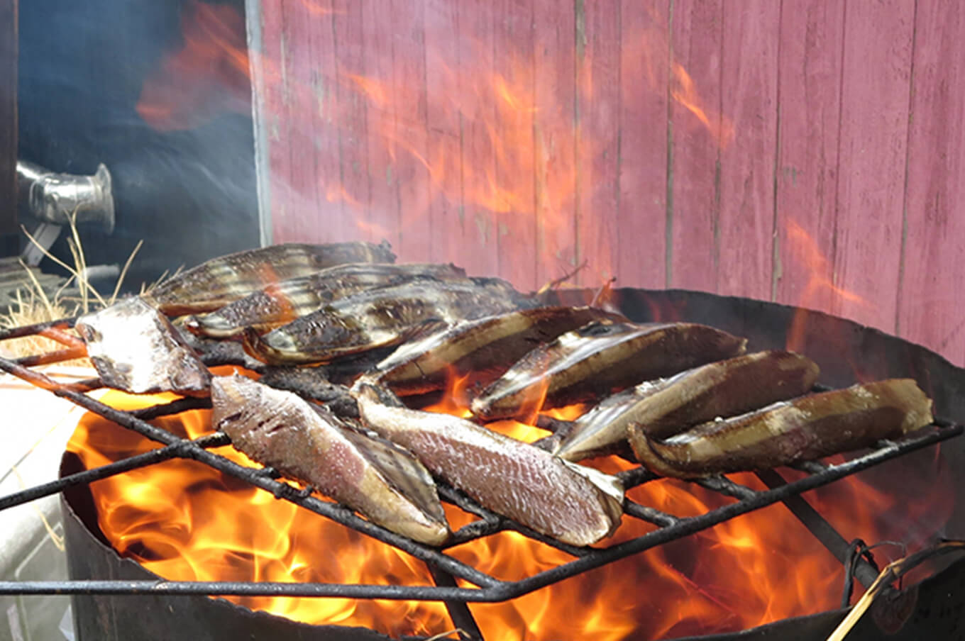 実演！かつおの藁焼き