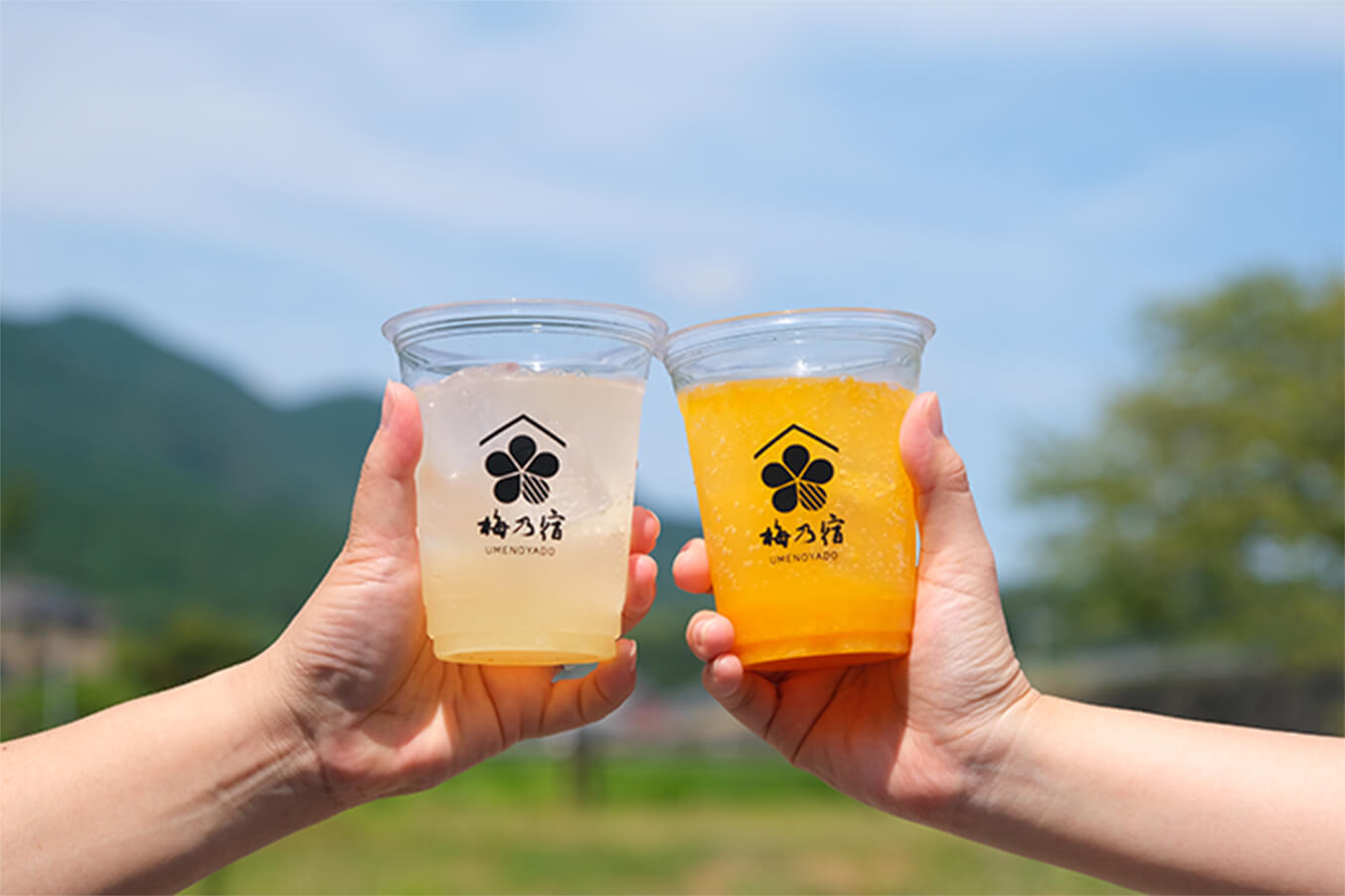 カクテル